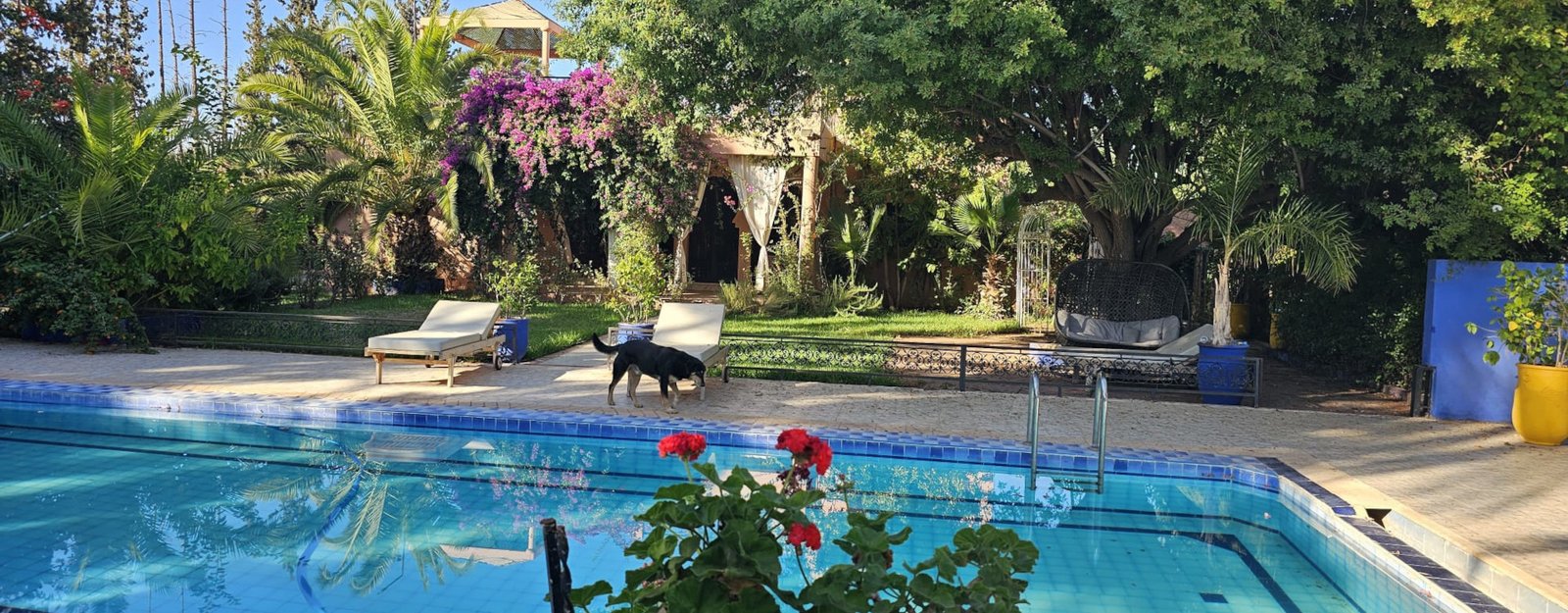 01 Marrakech RIAD ITTO Moroccan scroll