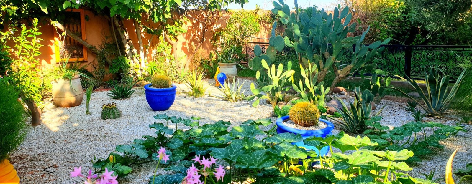 4 Marrakech RIAD ITTO Moroccan (35)-min