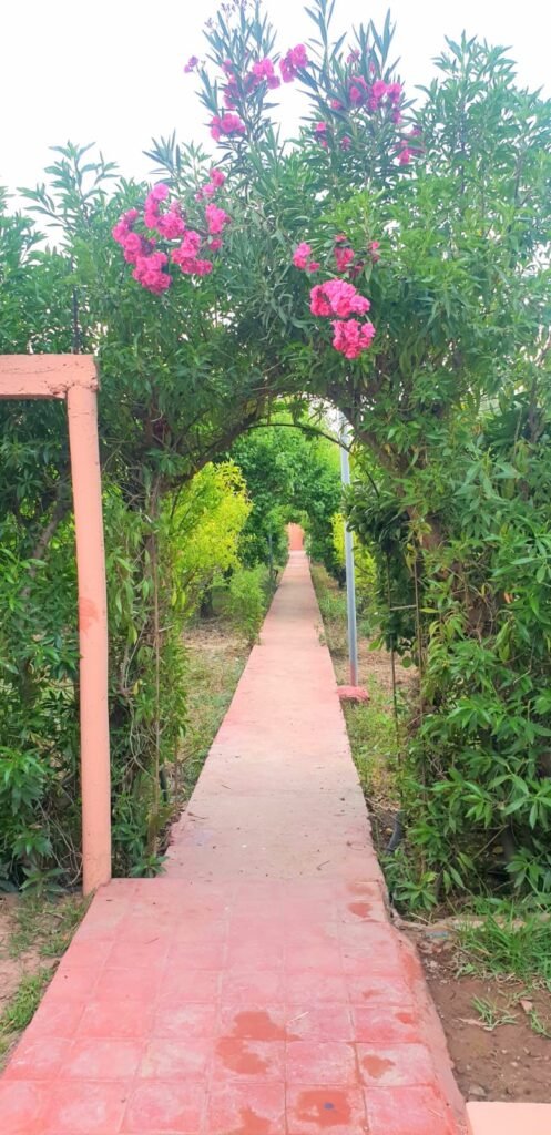 Marrakech RIAD ITTO Moroccan (3)