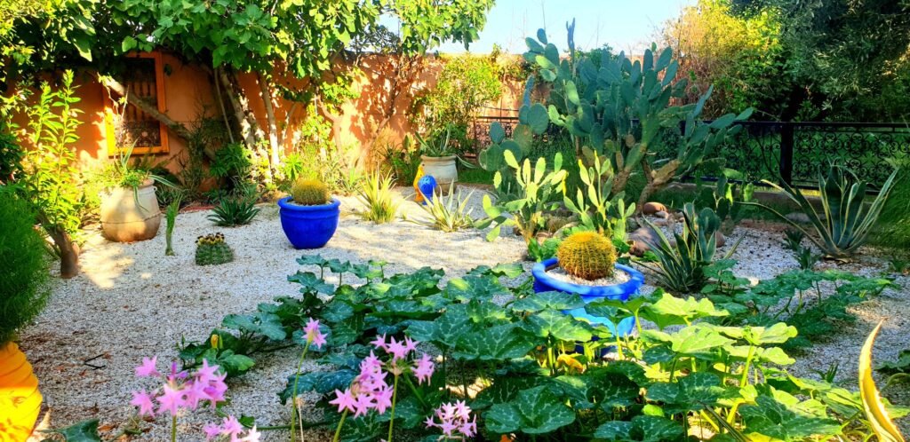 Marrakech RIAD ITTO Moroccan (17)