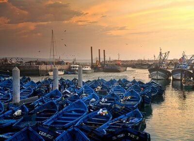 Essaouira day out horse riding and surfing