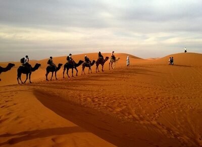 Marrakech camel riding in the desert and palmeraie Morocco